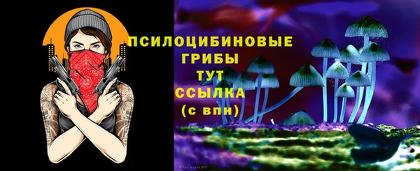 прущая мука Абаза