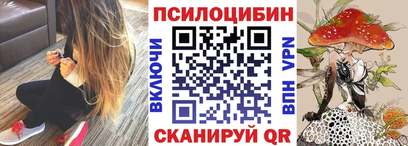 blacksprut как зайти  Шенкурск  Псилоцибиновые грибы MAGIC MUSHROOMS 